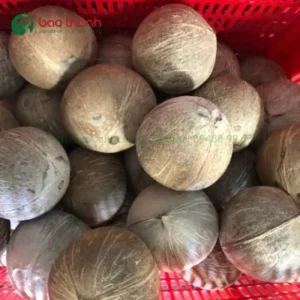 Dừa khô