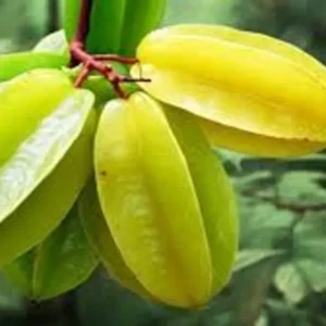 Khế quả