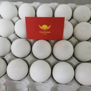 Trứng vịt lộn｜ホビロン