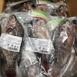 Cá rô phi 500 – 700g｜冷凍テイラピア