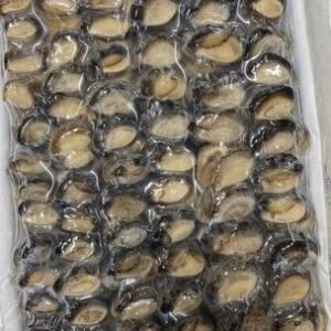 Ốc bươu làm sạch｜冷凍貝