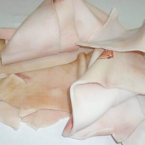 Da lợn｜豚皮