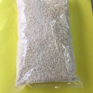 Gạo nếp trắng｜白もち米