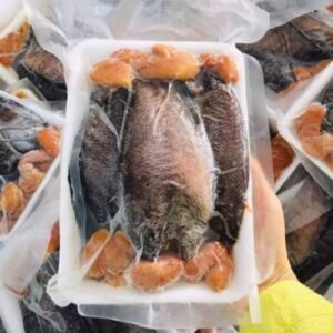 Cá sặc trứng 1 nắng 500g｜スネークスキン・グラミー
