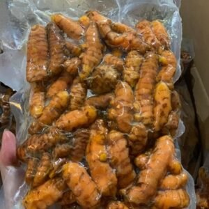 Nghệ Tươi đông lạnh｜冷凍ウコン