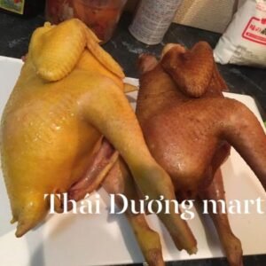 Gà hun khói nguyên con